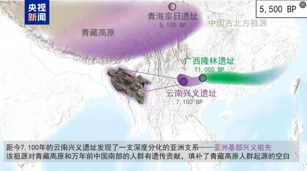 足球竞彩网